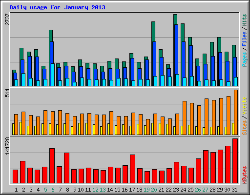 Daily usage for January 2013