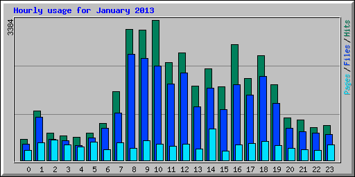 Hourly usage for January 2013