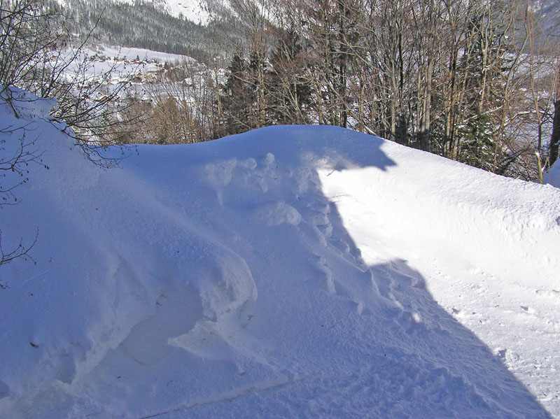 2005.02.05_RundUmsHaus2 (128)