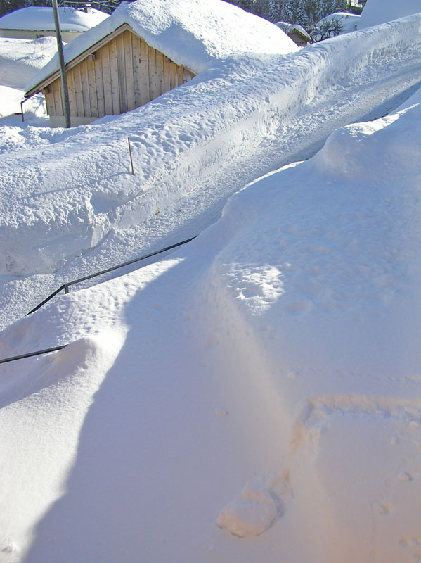 2005.02.05_RundUmsHaus2 (133)